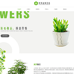 盆栽花店网站