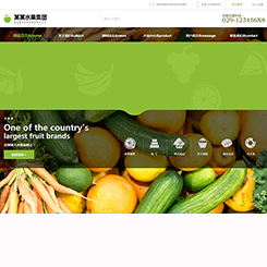 果蔬农产品行业