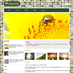 摄影行业网站