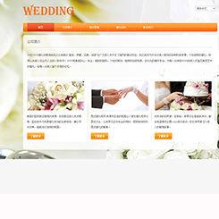 婚庆、婚礼行业