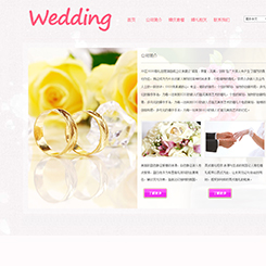 婚庆、婚礼行业