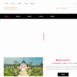 婚庆、婚礼行业