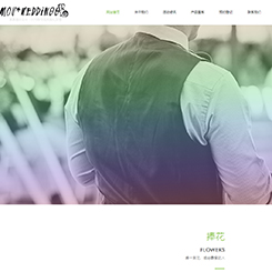 婚庆、婚礼行业