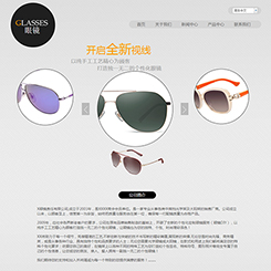 眼镜、饰品行业