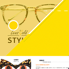 眼镜、饰品行业