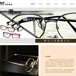 眼镜、饰品行业