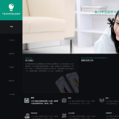 数码、电子行业