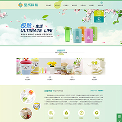 产品展示型网站