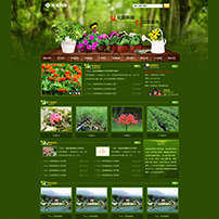 花卉养殖网站