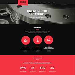 大型企业宣传网站