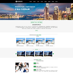 大型企业、集团网站