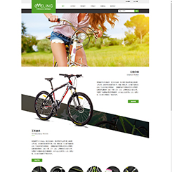 自行车网站