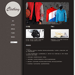 服装服饰网站