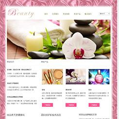 美容养生网站