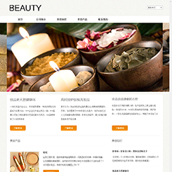 美容养生网站