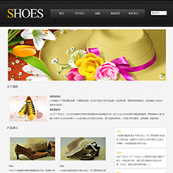 单鞋、鞋帽行业