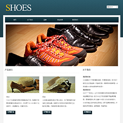 单鞋、鞋帽行业