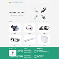 节能灯家电行业