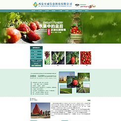 新鲜蔬果网站